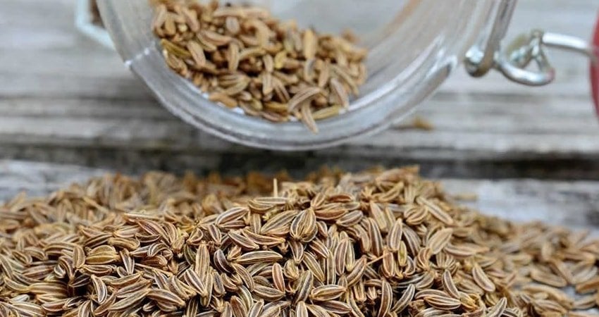 How to Buy and Store Caraway Seeds