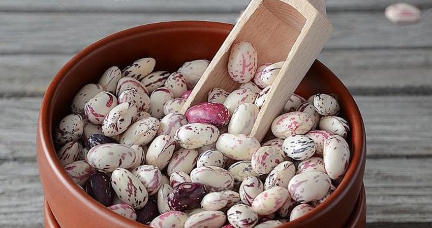 Some Tips on How to Cook the Beans