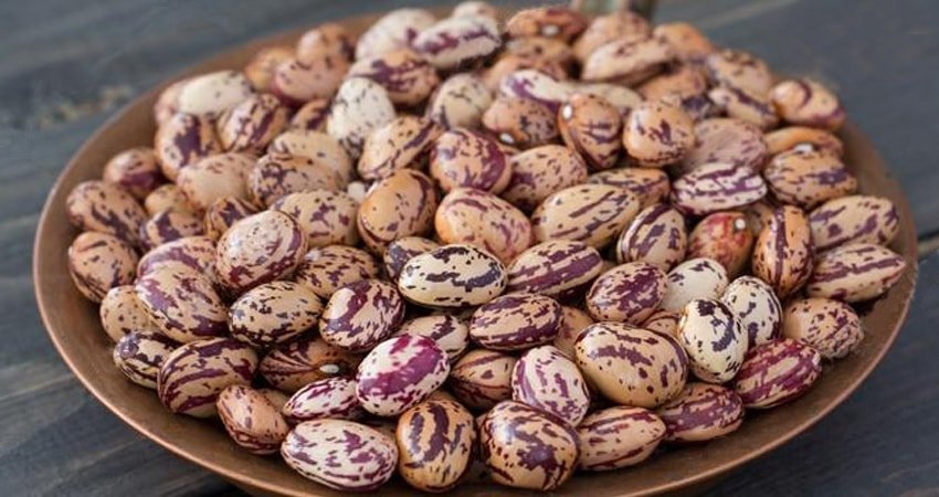 Where to Buy and How to Choose Cranberry Beans