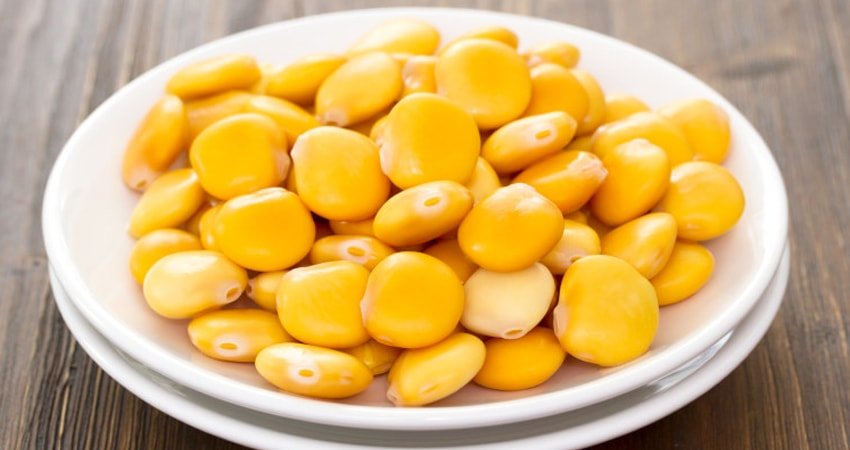 Lupini Beans as a Source of Building Blocks for the Body