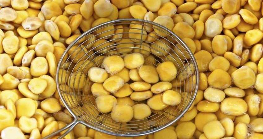 The Ways of Soaking Lupini Beans