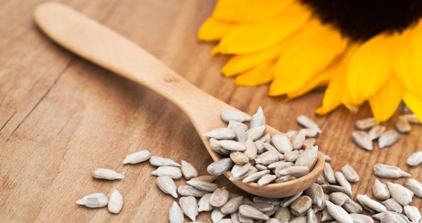 Sunflower seeds as an excellent source of vitamins B and E.
