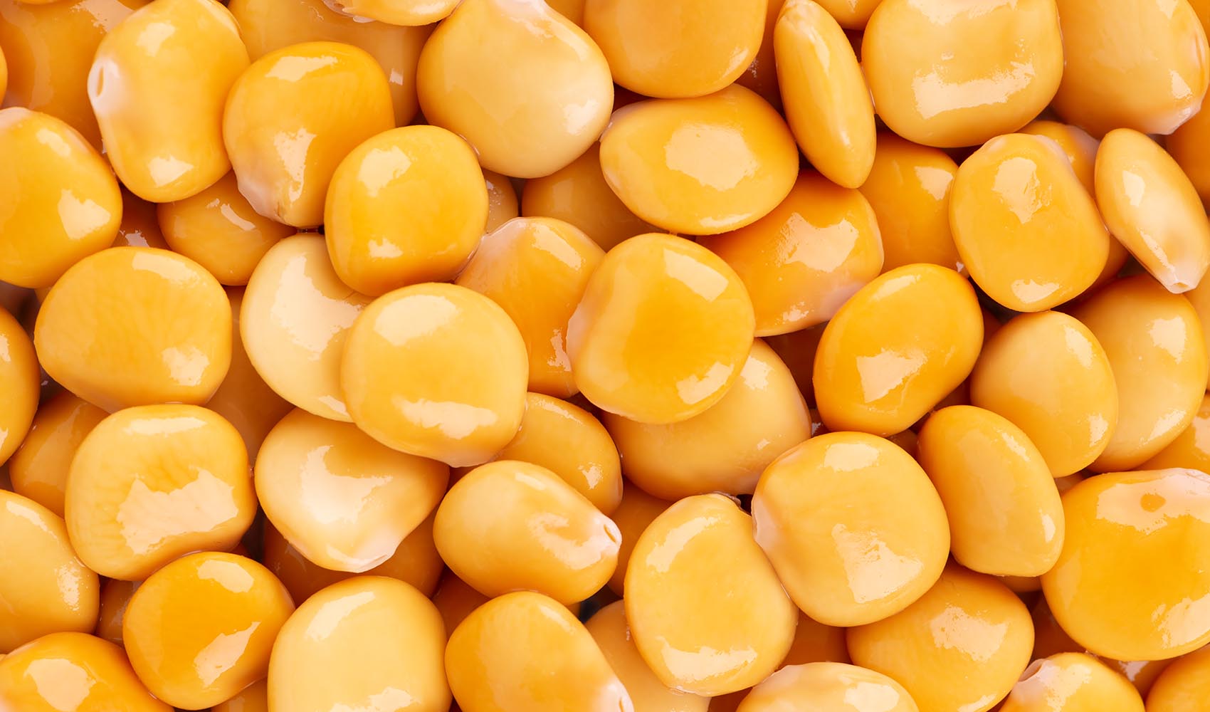 Lupini-Beans-the-Health-Benefits-and-Ways-of-Consuming-Them-1