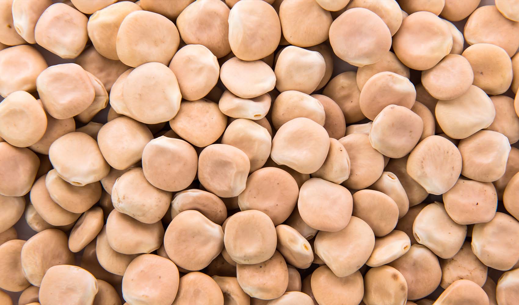 Lupini-Beans-the-Health-Benefits-and-Ways-of-Consuming-Them-3