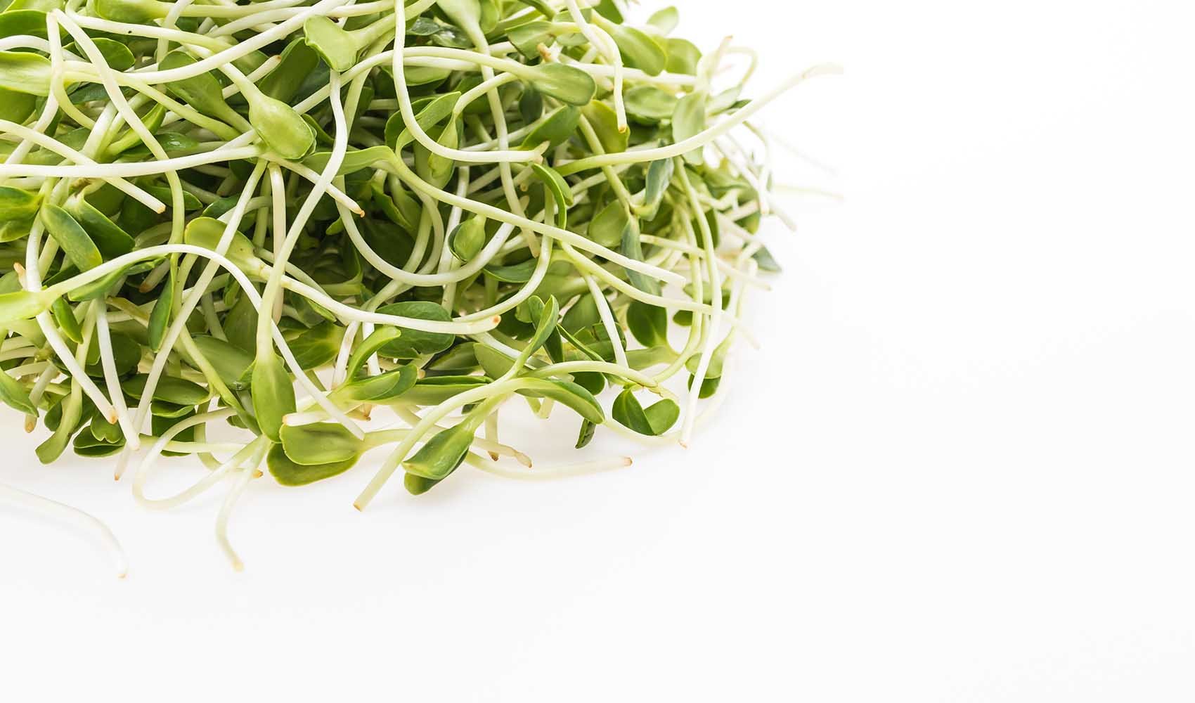 Microgreens-Huge-Benefits-of-Tiny-Plants-1