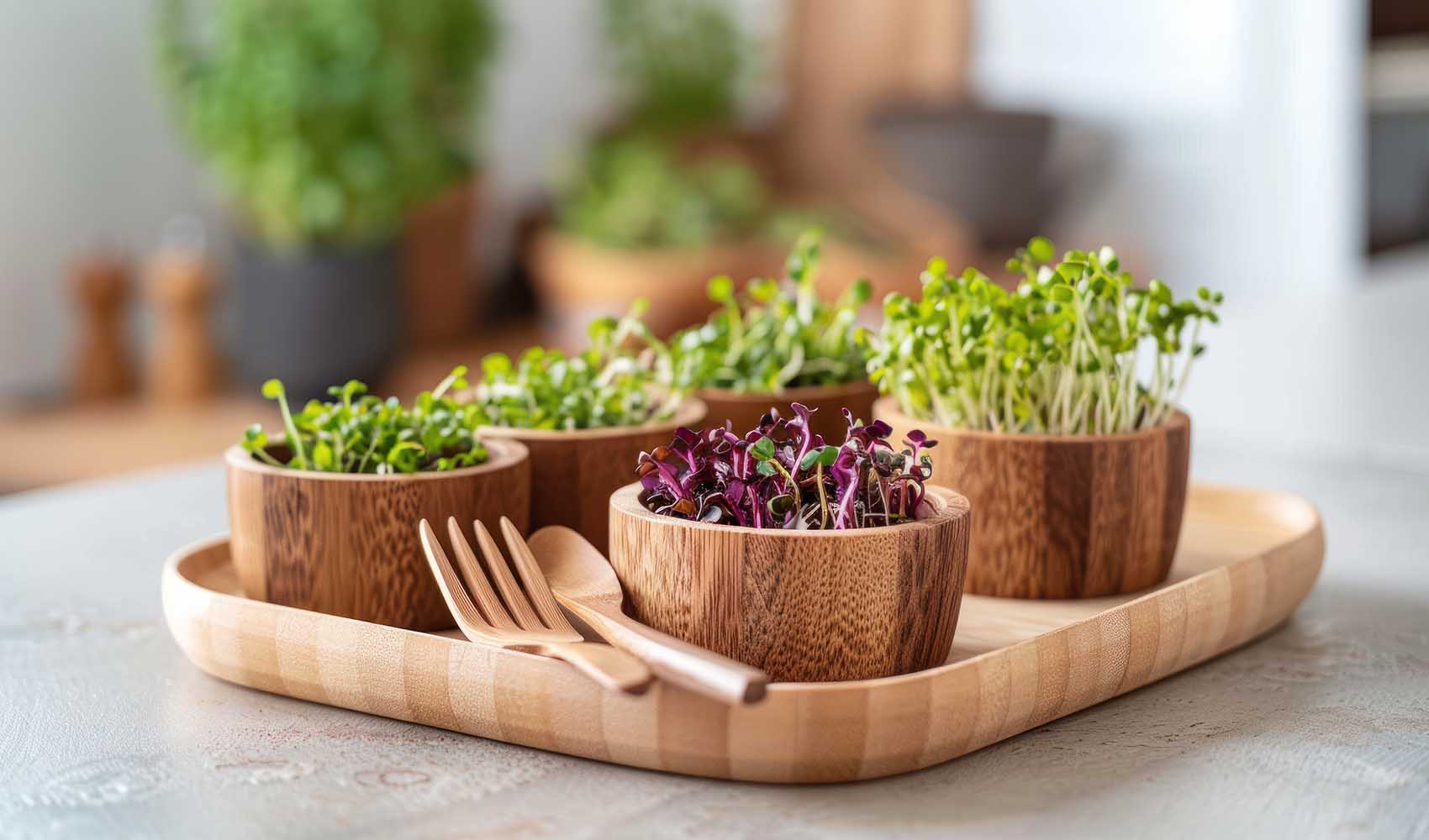 Microgreens-Huge-Benefits-of-Tiny-Plants-2