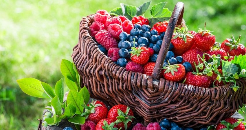 Berries as a source of antioxidants