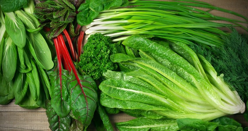 Green leafy vegetables as a source of folate