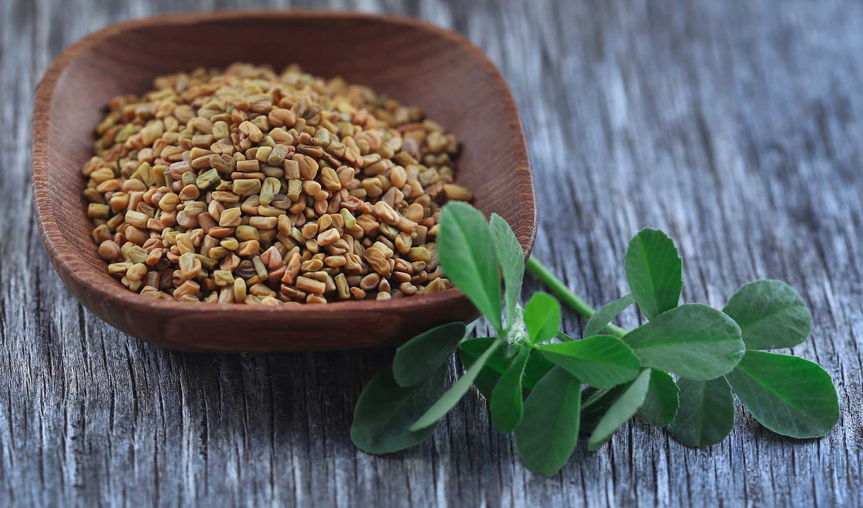 Fenugreek-for-Breast-Milk-Production-How-to-Use-1