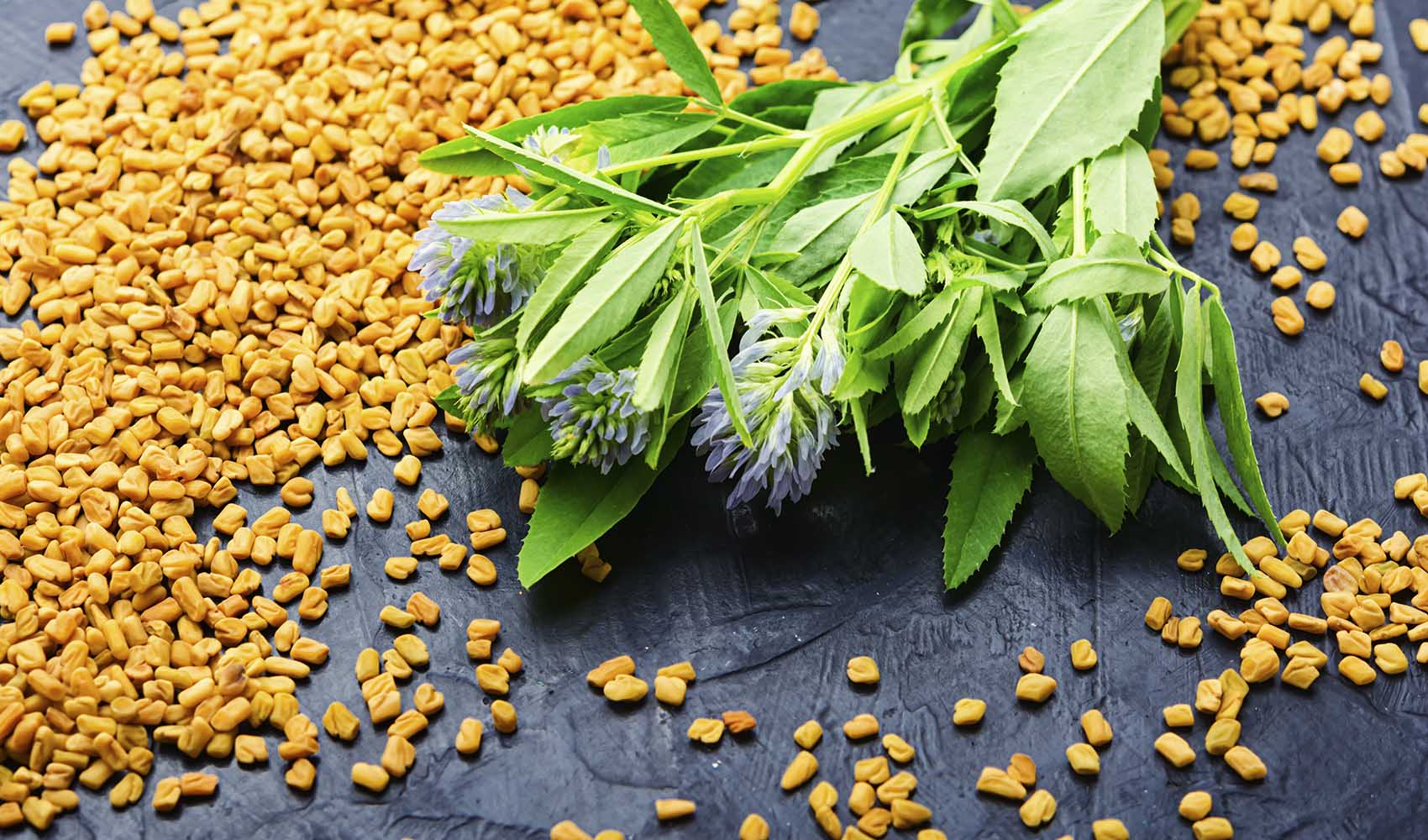 Fenugreek-for-Breast-Milk-Production-How-to-Use-2