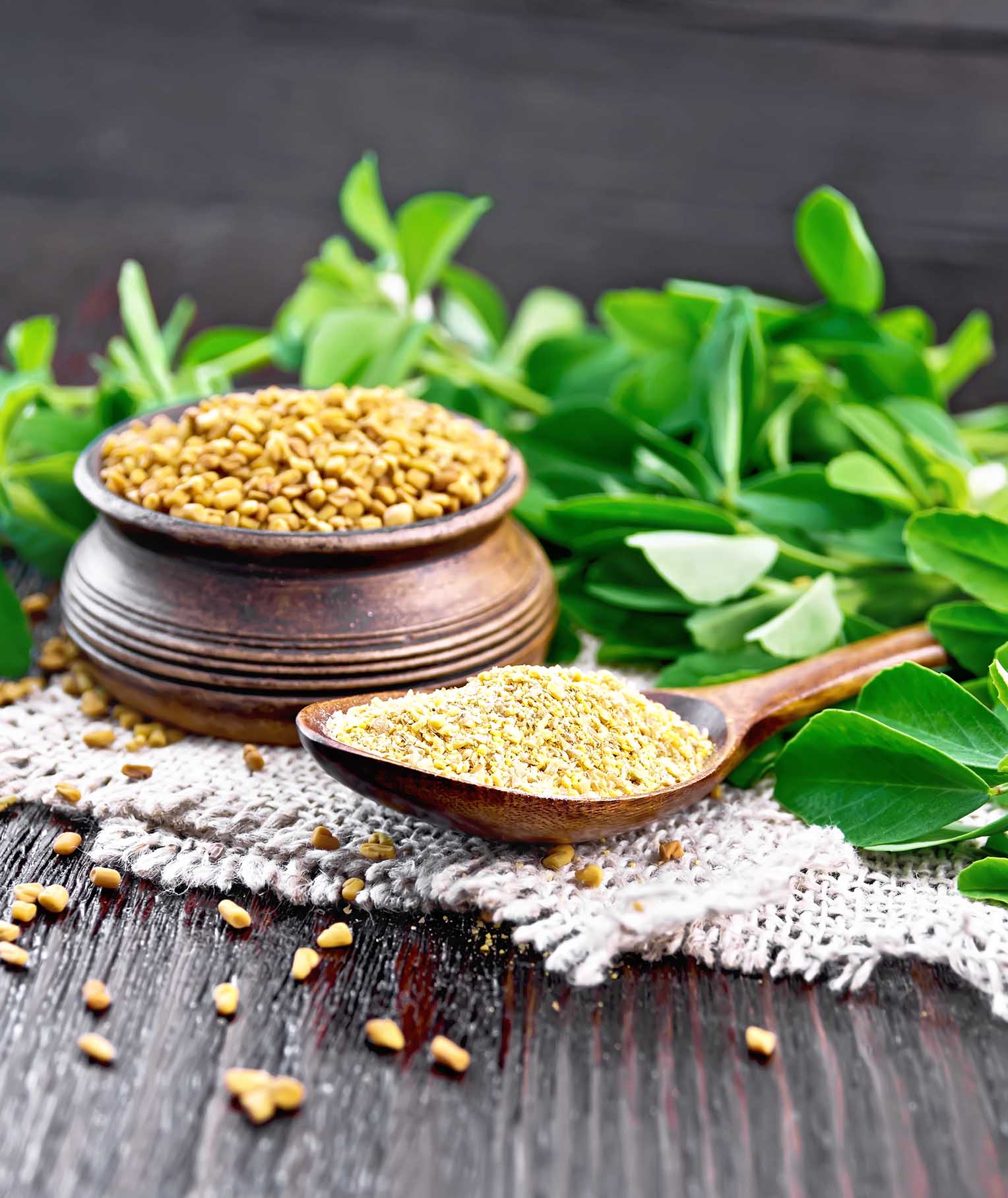 Fenugreek for Breast Milk Production: How to Use