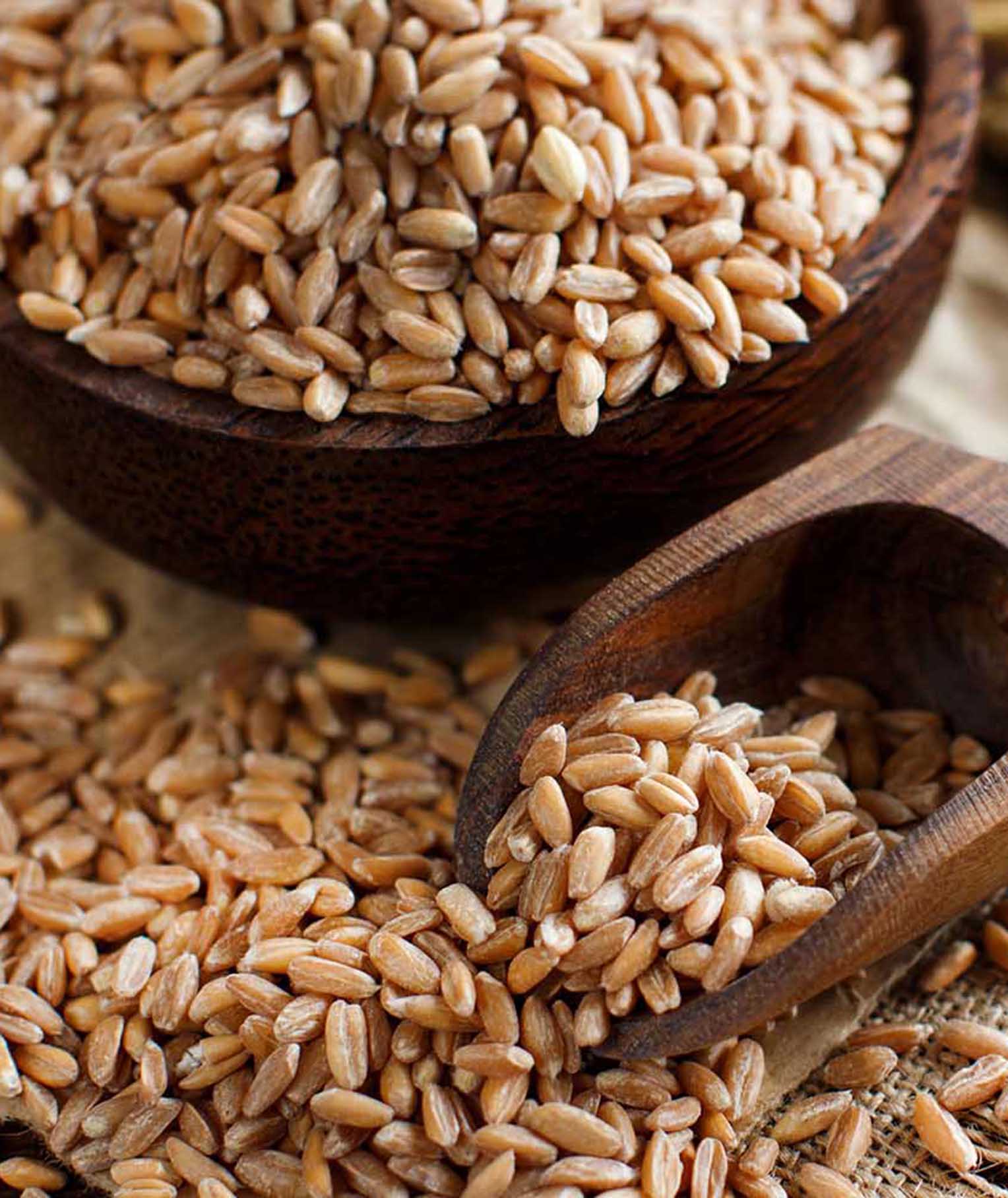 Wheat Berries: a Natural Nutrient Boost Available for Everyone