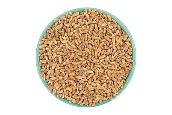 Wheat Berries: a Natural Nutrient Boost Available for Everyone