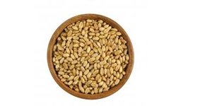 Wheat Berries: a Natural Nutrient Boost Available for Everyone