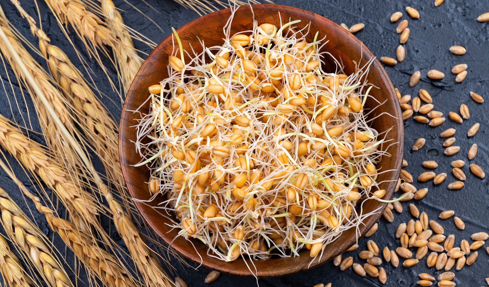 wheat-sprouts-health-benefits-and-how-to-grow-them-2