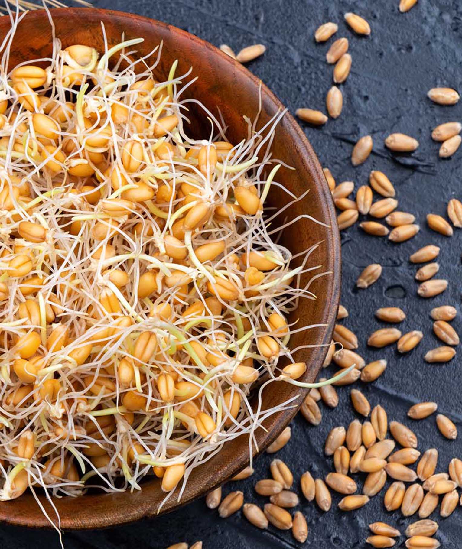 Wheat Sprouts: Health Benefits and How to Grow Them