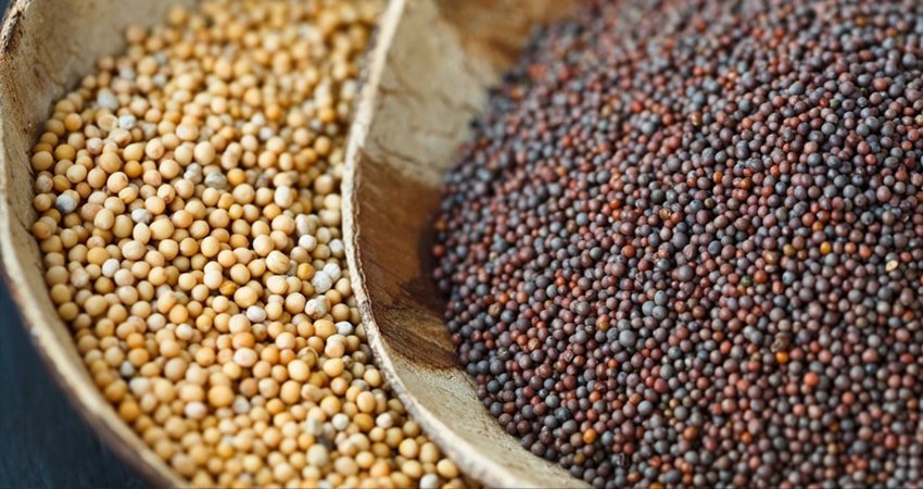 Mustard Seeds: Grind into Powder for Fighting Inflammation