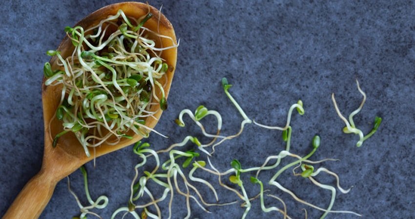 Germogli di broccoli: prevenzione del cancro