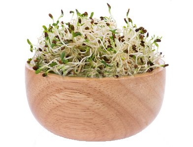 Effective Tips for Safe Sprouting at Home
