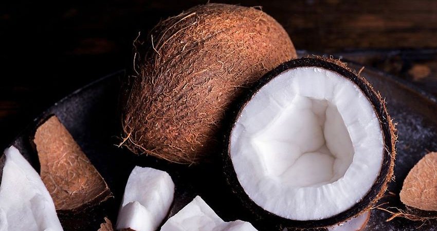 Coconut meat