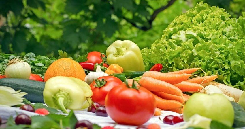 Choosing Organic Foods