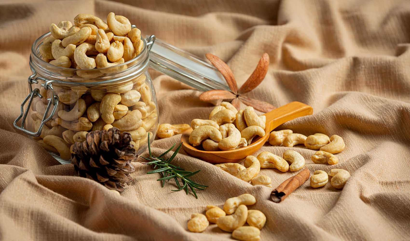 Are-Pasteurized-Nuts-Good-or-Bad-Reasons-Behind-Nuts-Pasteurization-3