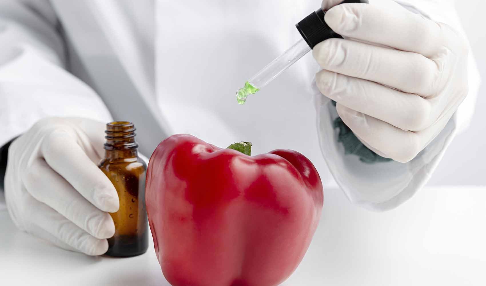 5-Facts-About-GMO-Foods-Are-They-Truly-Dangerous-1