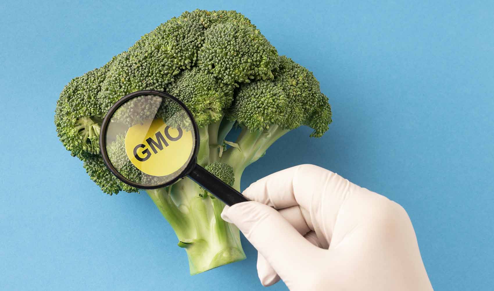 5-Facts-About-GMO-Foods-Are-They-Truly-Dangerous-2