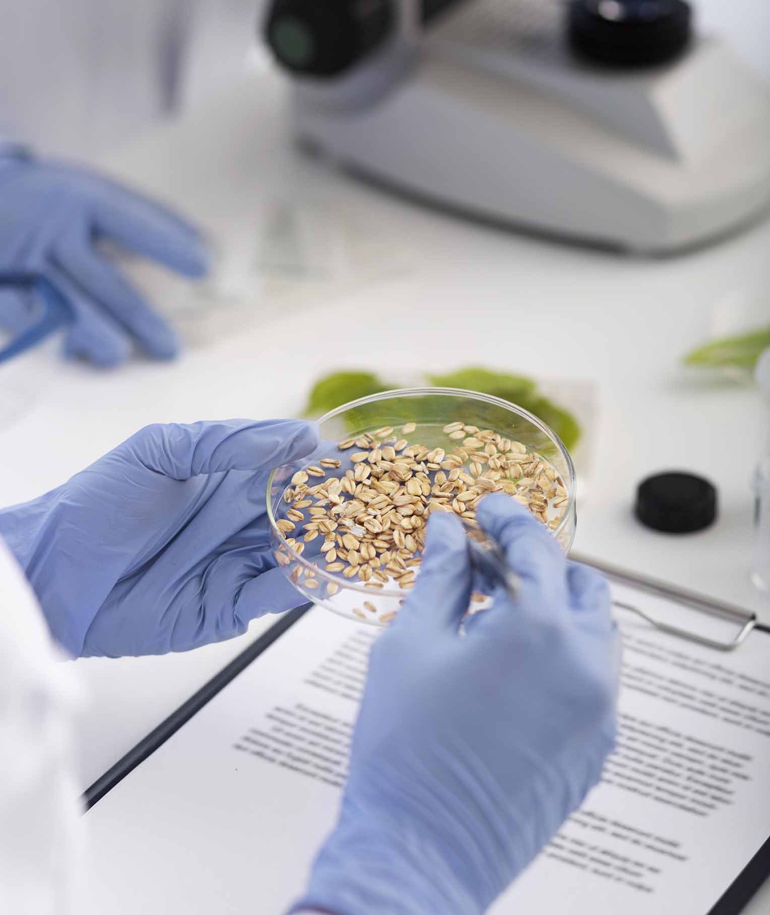 5 Facts About GMO Foods: Are They Truly Dangerous