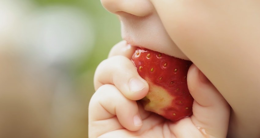 Preparing Healthy Raw Vegan Baby Foods