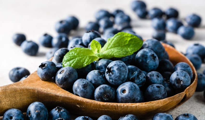 15 Vegan Diet Foods to Eat for Normalizing Metabolism-Blueberries