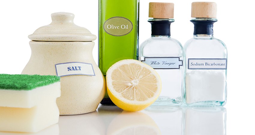 Save the Planet: Clever Organic Living Tips for Everyone
