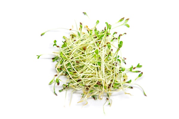 Health Benefits of Broccoli Sprouts