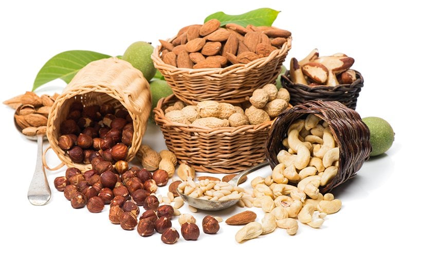 What Are the Safe Nuts for Dogs to Eat