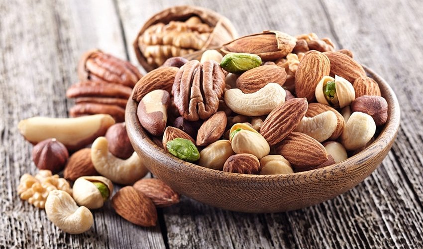 are hickory nuts safe for dogs