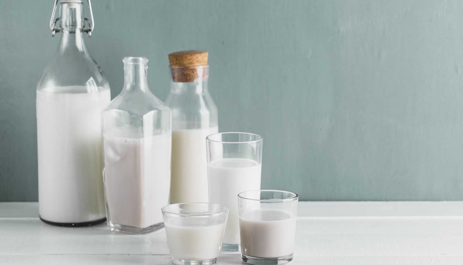 Comparing-Milks-Dairy-Almond-Soy-Rice-and-Coconut-main-image