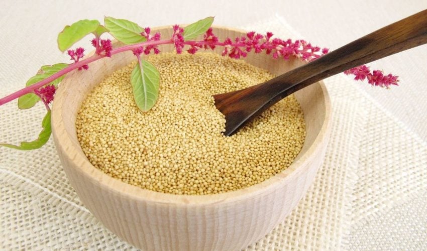 Amaranth Nutrition Facts
