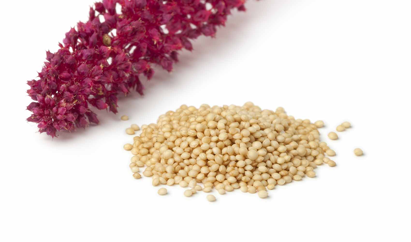 What-Is-Amaranth.-Benefits-Nutrition-And-Uses-2
