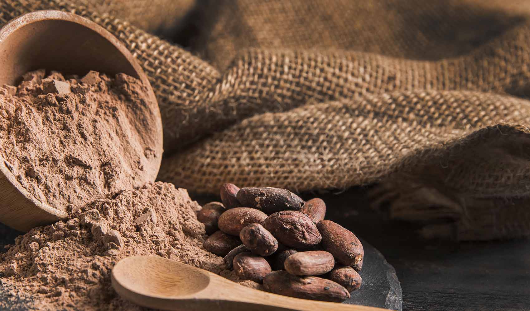 What-is-the-Difference-Between-Cocoa-and-Cacao-2