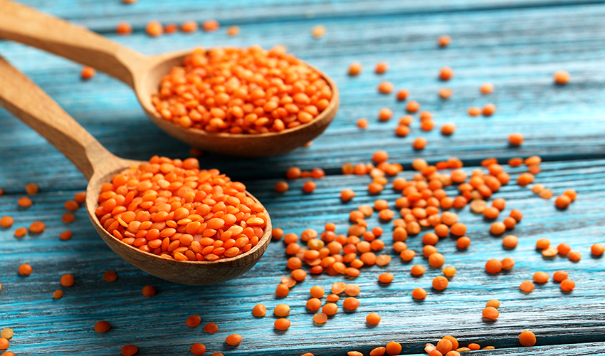 NUTRITION - red lentils