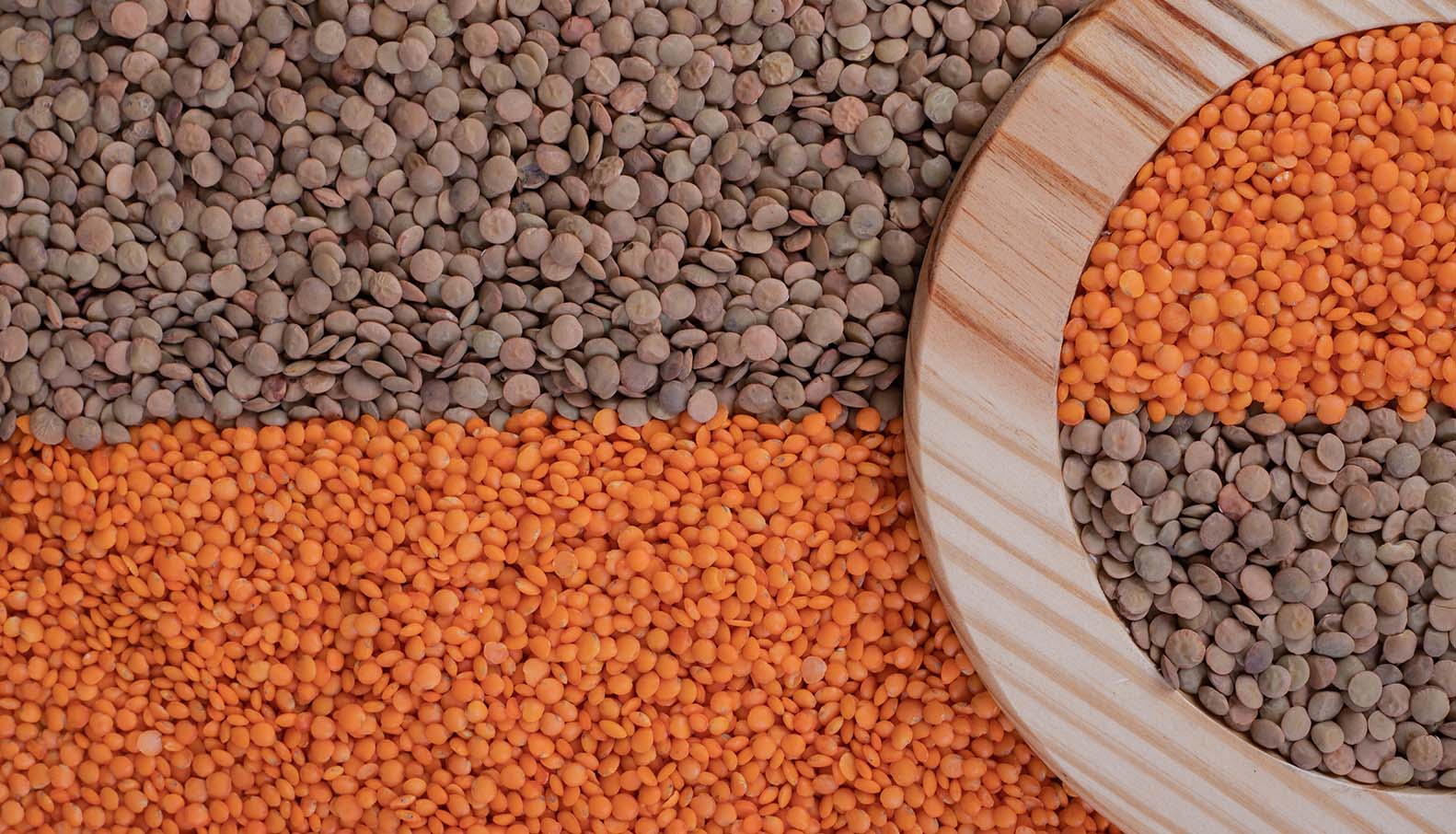 Red-Lentils-Benefits-Nutrition-And-Uses-main-image