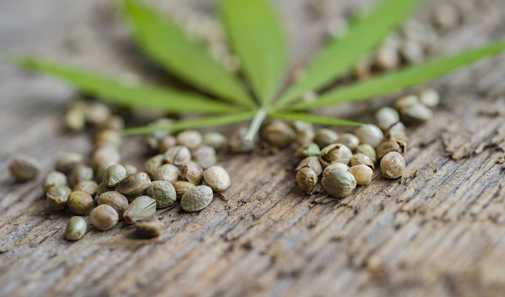 Top-11-Science-Based-Health-Benefits-of-Hemp-Seeds-2