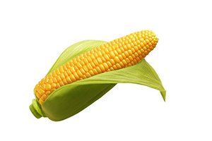 5 Facts About GMO Foods: Are They Truly Dangerous