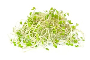 How to Sprout at Home and the Benefits of Having an Indoor Sprouts Garden