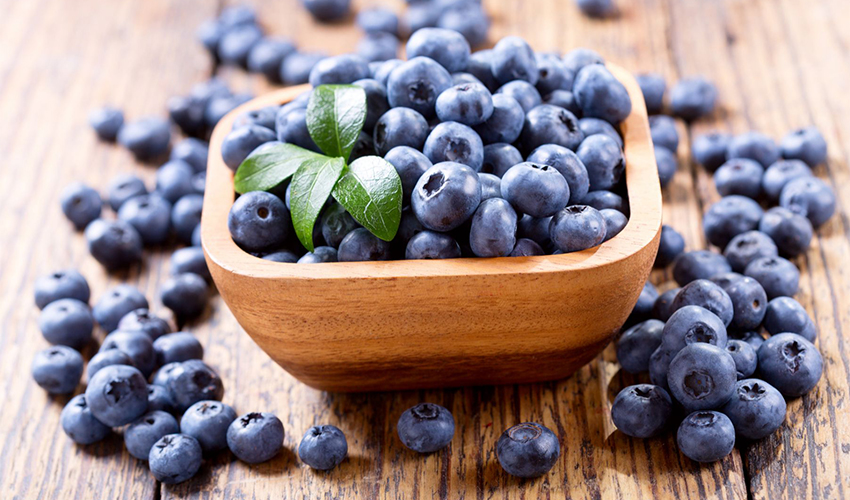 black baby poop 1 year old blueberries