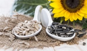 Are Sunflower Seeds Keto – Healthy Blog