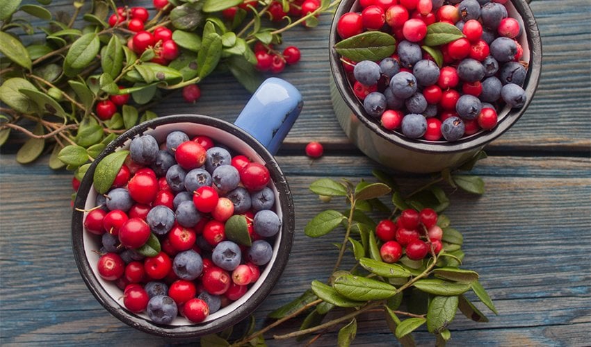 Berries Helps urinary tract health