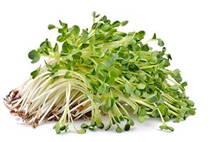 Eating Sprouts: Wonderful Benefits for Your Hair, Skin, and Overall Health