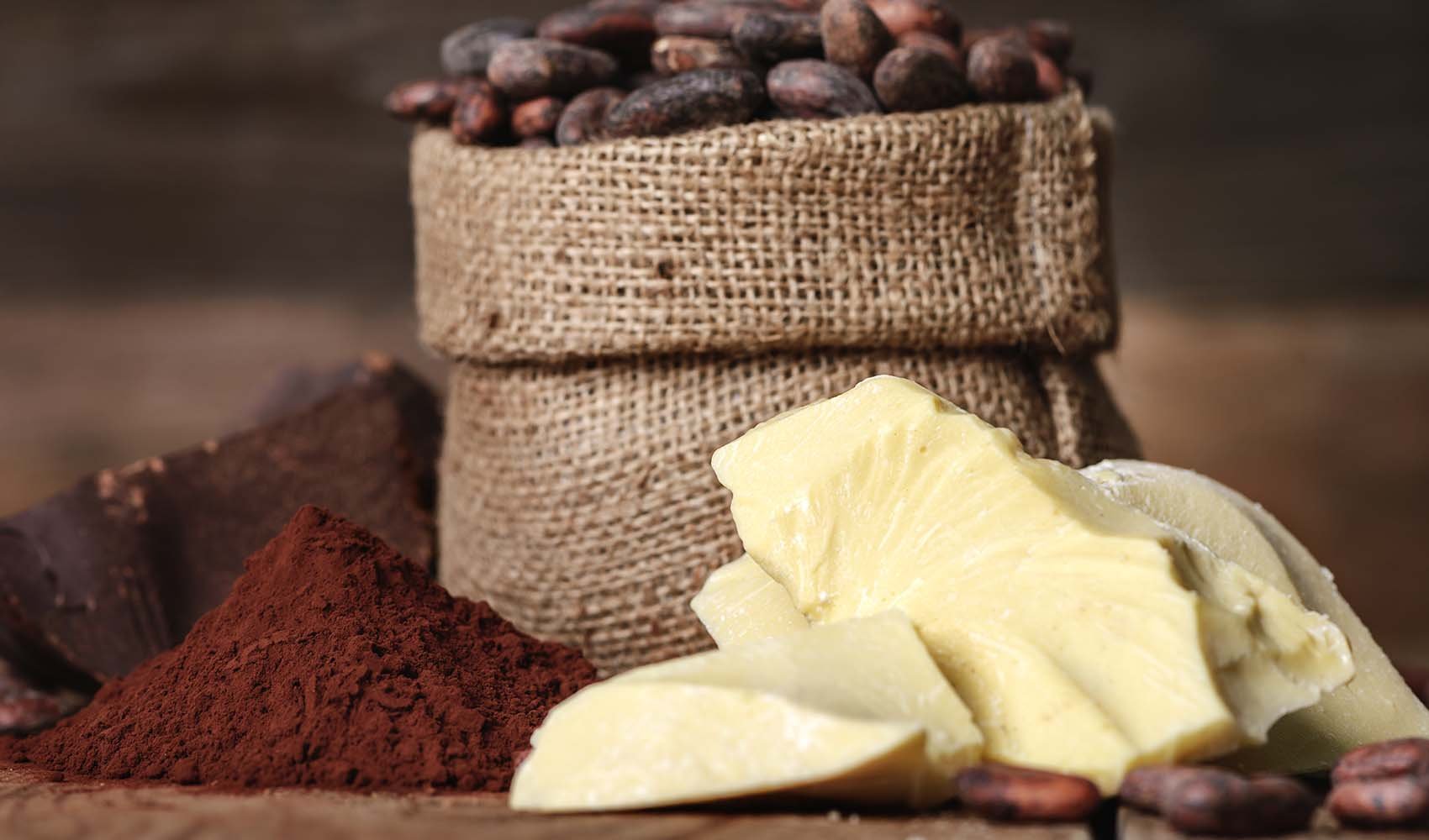 cacao-butter-nutrition-benefits-uses-3
