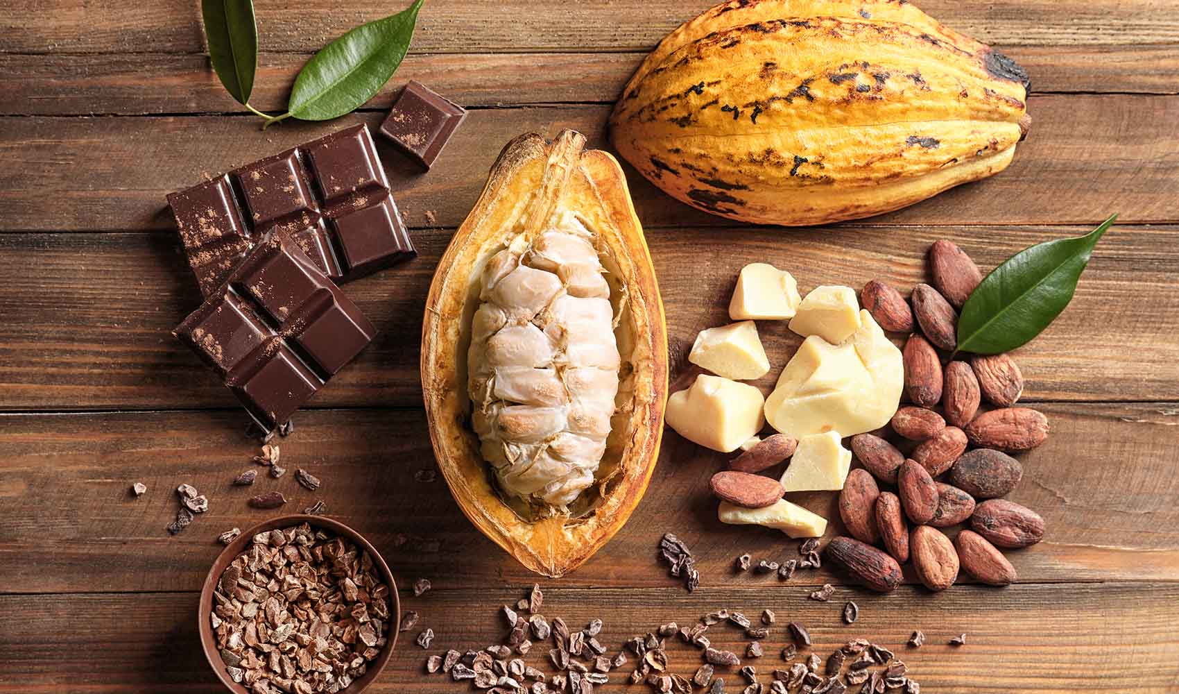 cacao-butter-nutrition-benefits-uses